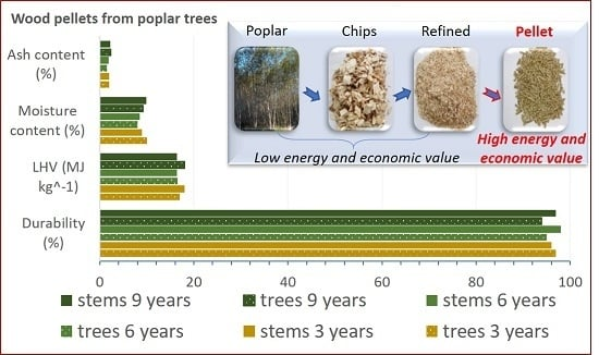 National Biomass Mission – SAMARTH: How Agroforestry Offers a More Sustainable Alternative to Paddy and Earns Global Recognition<title>National Biomass Mission – SAMARTH: Agroforestry as a Sustainable Alternative to Paddy</title> 1 image